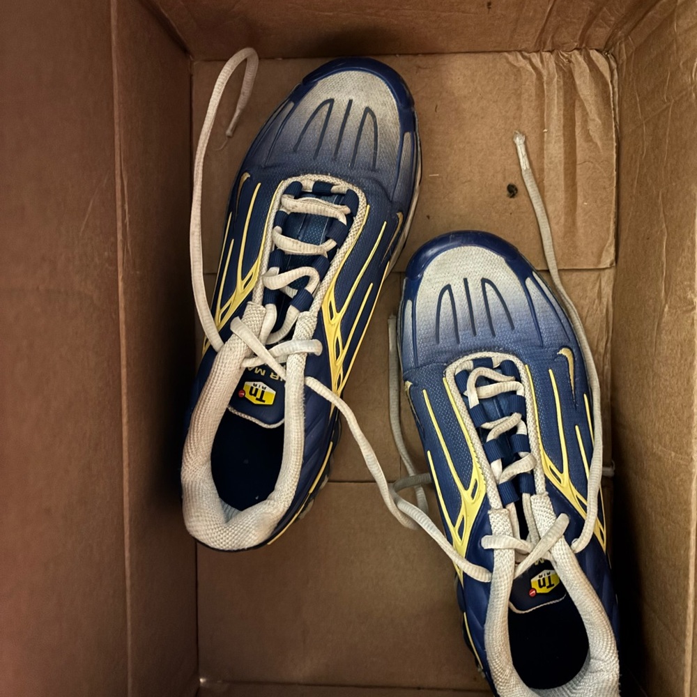 Nike Gray and Blue Sneakers